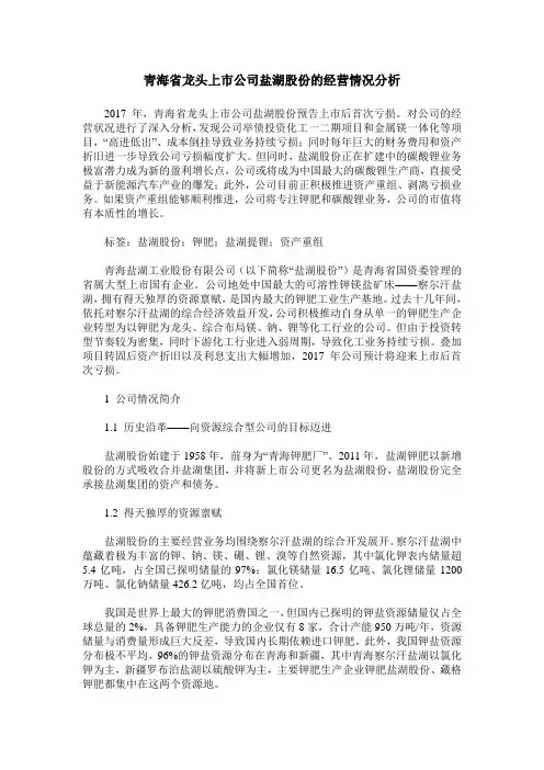 青海省龙头上市公司盐湖股份的经营情况分析