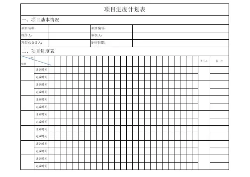 项目进度计划表