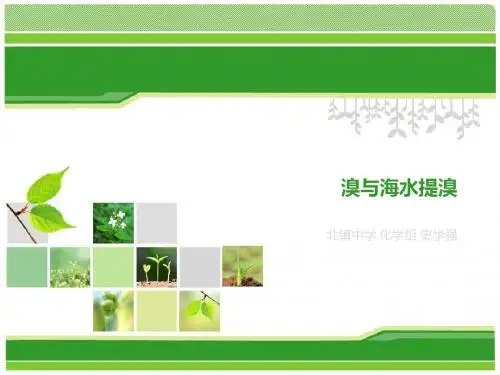 鲁科化学必修1第3章第4节海水中的化学元素第2课时溴与海水提溴