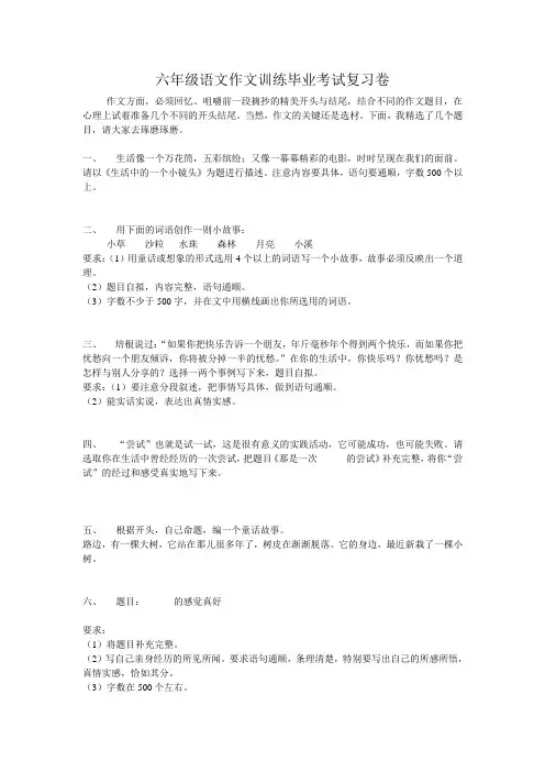 六年级语文作文训练毕业考试复习卷