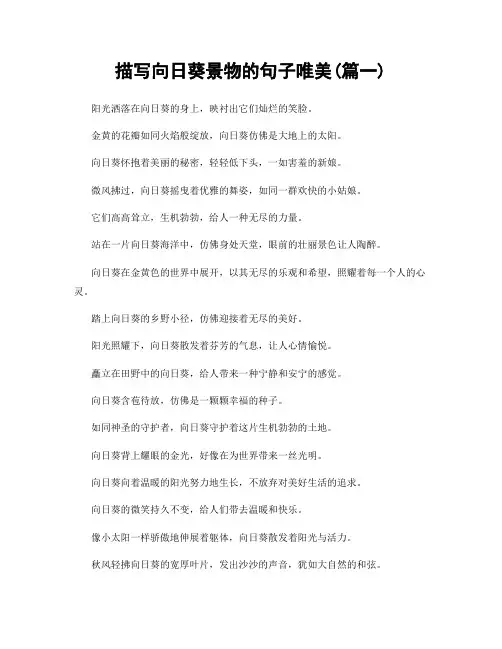 描写向日葵景物的句子唯美(精选合集2篇)