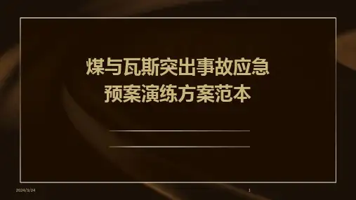 2024年度煤与瓦斯突出事故应急预案演练方案范本