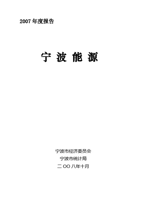 2007年度宁波能源报告
