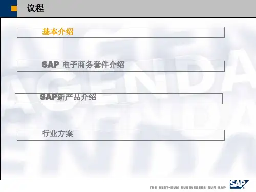 SAP产品及行业解决方案介绍