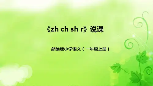 部编版小学语文一年上册《zh ch sh r》说课稿(附教学反思、板书)课件