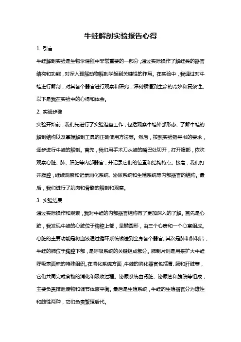 牛蛙解剖实验报告心得