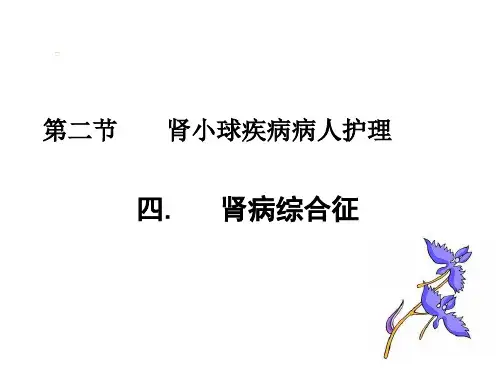 内科护理学课件-肾病综合征