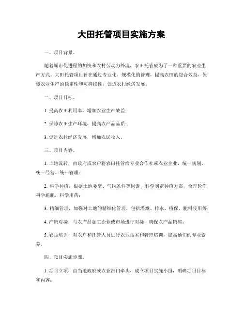大田托管项目实施方案