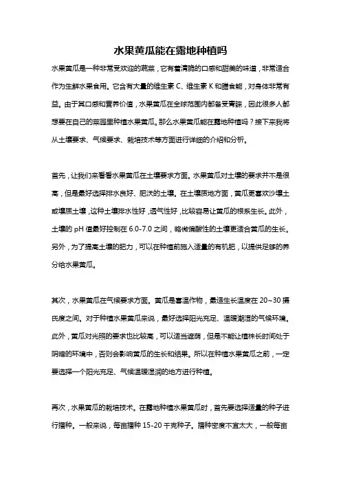 水果黄瓜能在露地种植吗