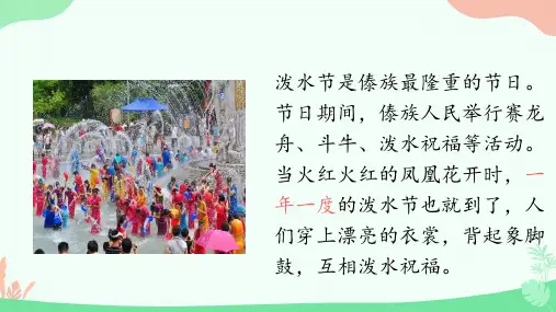 17 难忘的泼水节课件(共22张PPT)