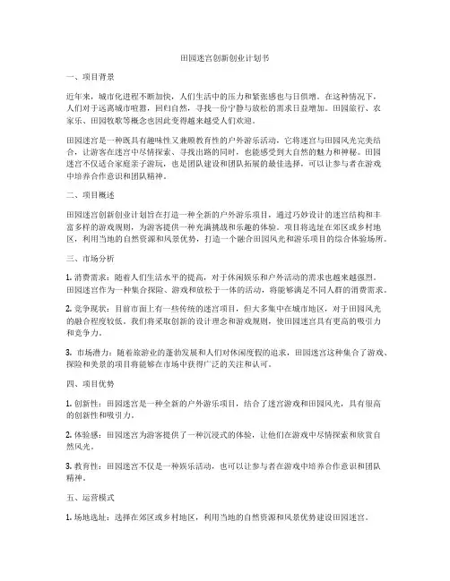 田园迷宫创新创业计划书