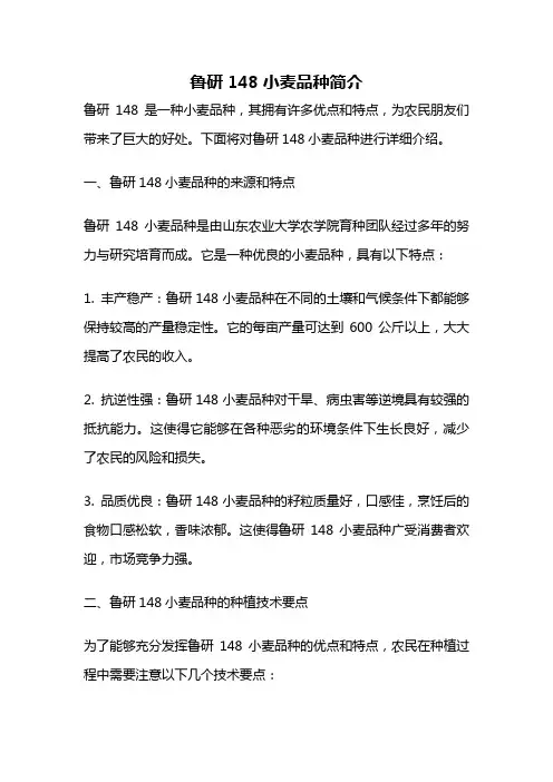 鲁研148小麦品种简介