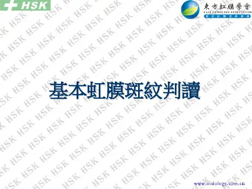 虹膜教学系列7