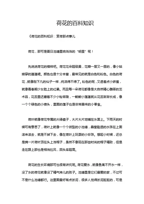 荷花的百科知识