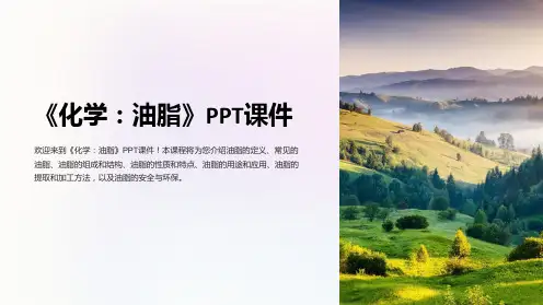 《化学：油脂》课件