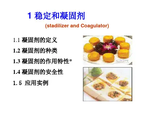 食品添加剂11其他食品添(1).ppt