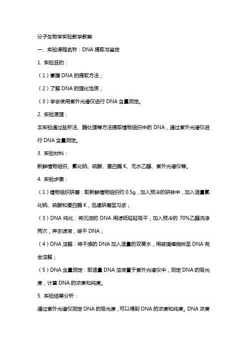 分子生物学实验教学教案