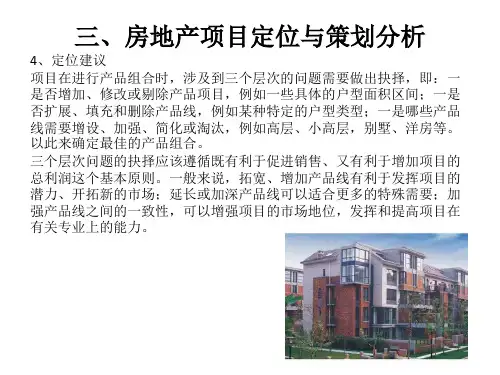 房地产项目定位与策划分析