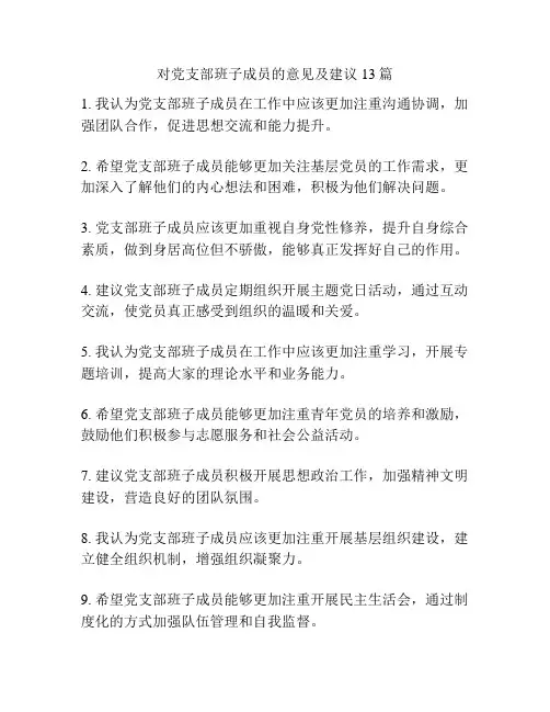 对党支部班子成员的意见及建议13篇