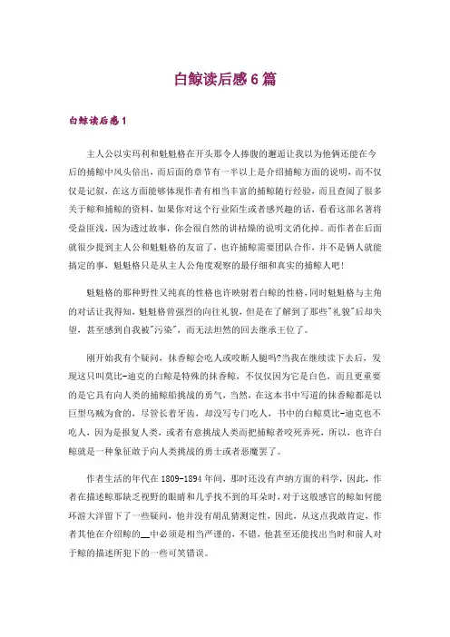 白鲸读后感6篇