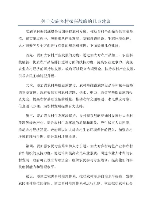 关于实施乡村振兴战略的几点建议