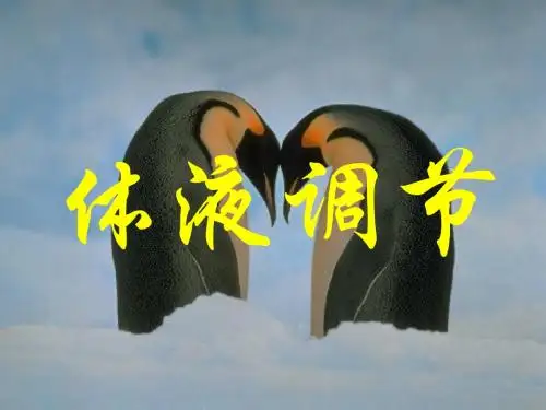 体液调节