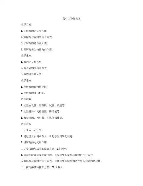 高中生物酶教案