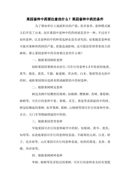 果园套种中药要注意些什么？果园套种中药的条件.doc