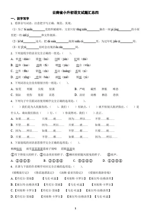 云南省小升初语文试题汇总四(含答案)