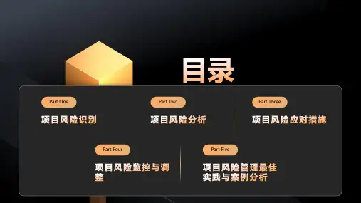项目风险分析与应对措施