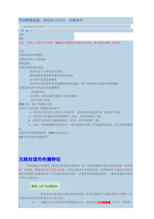 无线衰落信道、多径与OFDM、均衡技术