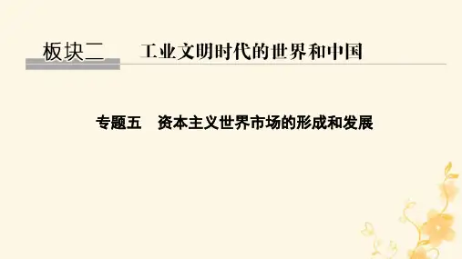 高三历史二轮专题复习专题五 资本主义世界市场的形成和发展