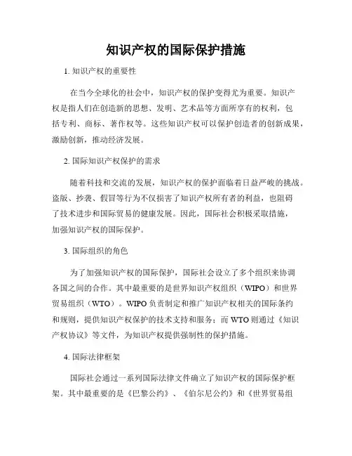 知识产权的国际保护措施