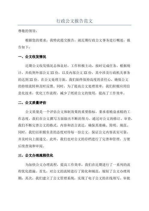 行政公文报告范文