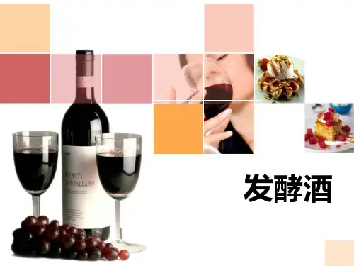 发酵酒