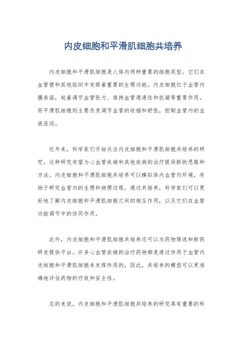 内皮细胞和平滑肌细胞共培养