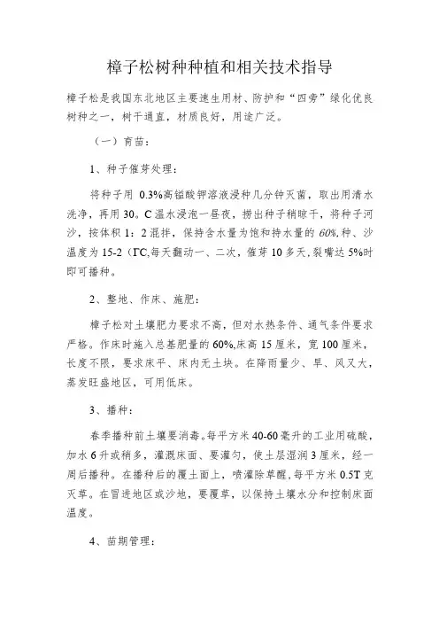 樟子松树种种植和相关技术指导