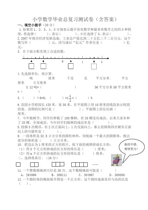 小学数学毕业总复习测试卷(含答案)