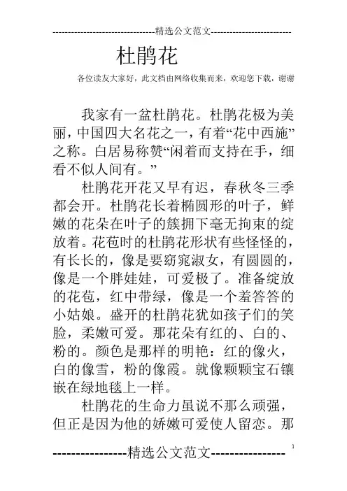 杜鹃花