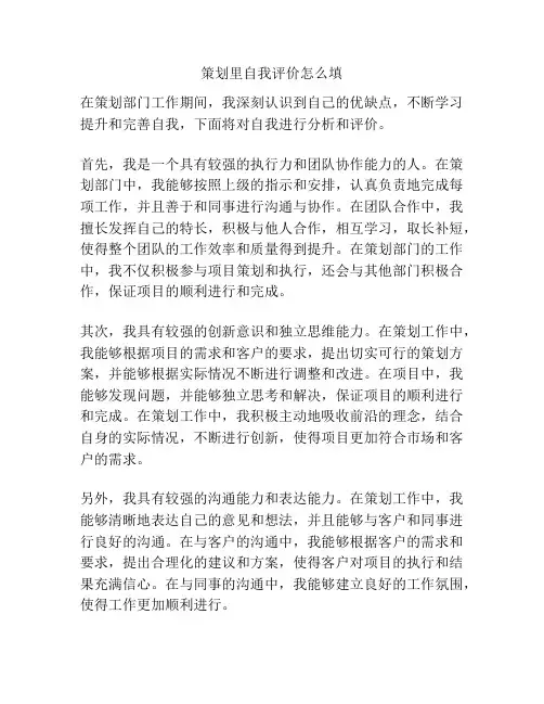 策划里自我评价怎么填