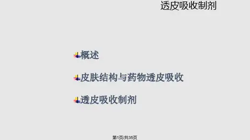 透皮吸收制剂PPT课件