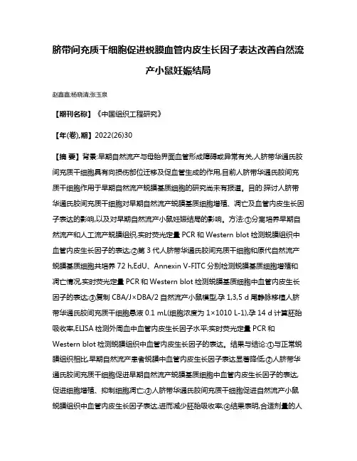 脐带间充质干细胞促进蜕膜血管内皮生长因子表达改善自然流产小鼠妊娠结局
