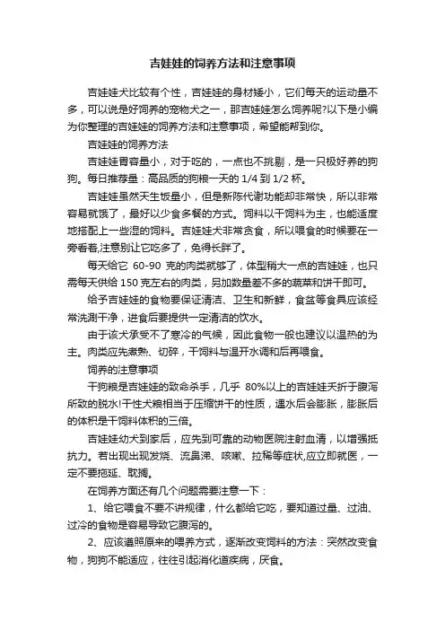 吉娃娃的饲养方法和注意事项
