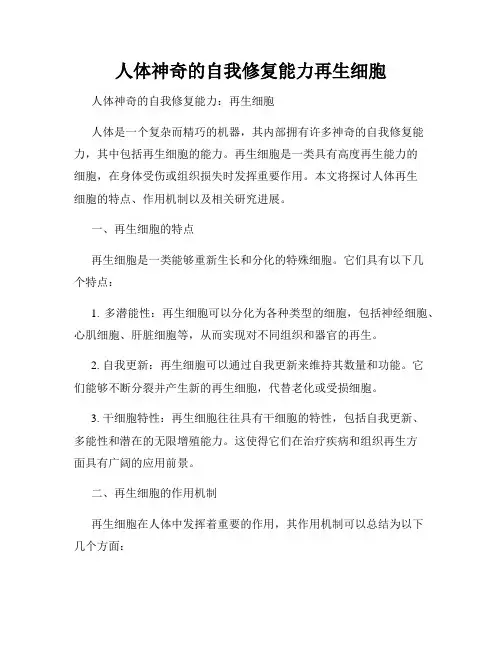 人体神奇的自我修复能力再生细胞