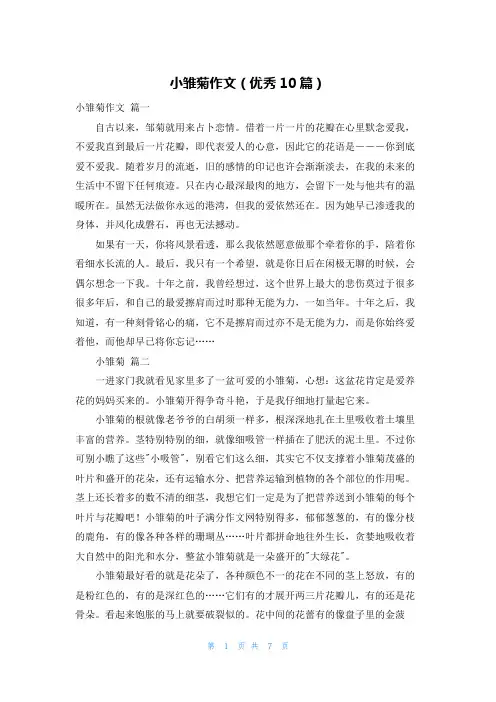 小雏菊作文(优秀10篇)
