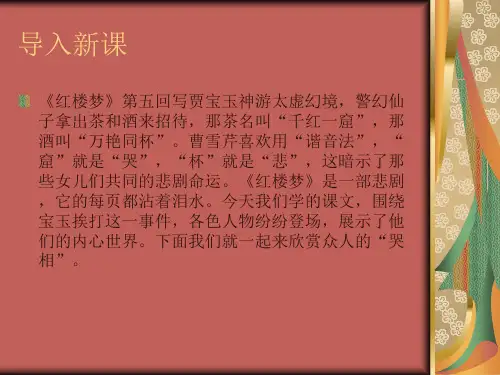 《宝玉挨打》-(共48张PPT)