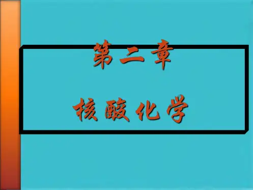 核酸的结构与功能(共68张PPT)