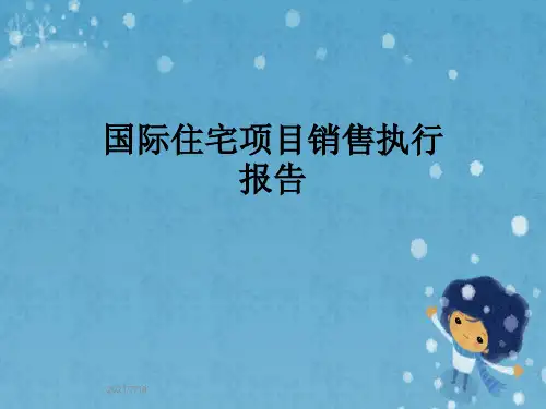 国际住宅项目销售执行报告