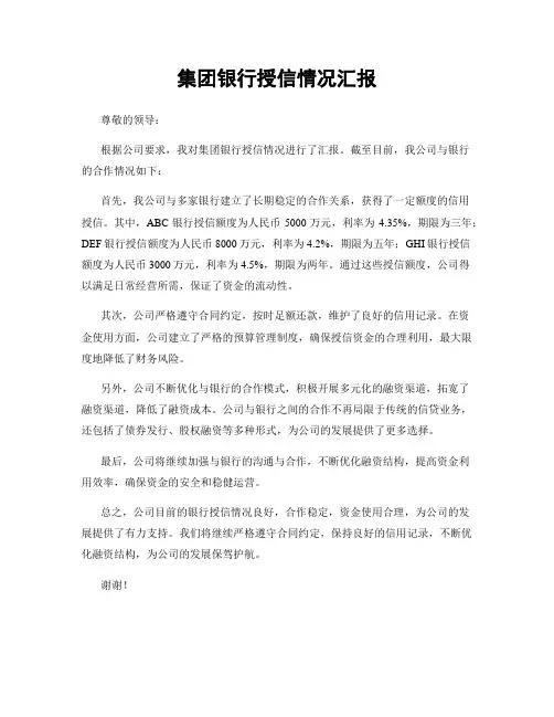 集团银行授信情况汇报
