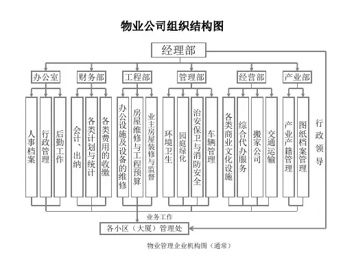 物业公司组织机构图